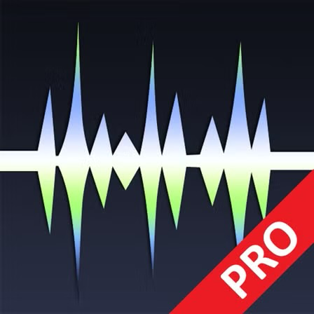 Wavepad Pro